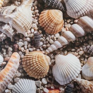 Meet your Posher, Su